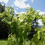 Daire Im Chasa Stefania, Bergblicktraum Mit Garten Und Sauna *