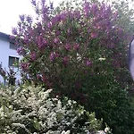 Im Chasa Stefania, Bergblicktraum Mit Garten Und Sauna Daire *