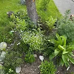 Im Chasa Stefania, Bergblicktraum Mit Garten Und Sauna Daire