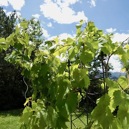 Apartment Im Chasa Stefania, Bergblicktraum Mit Garten Und Sauna *