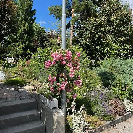 Apartment Im Chasa Stefania, Bergblicktraum Mit Garten Und Sauna