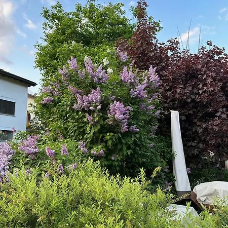 Im Chasa Stefania, Bergblicktraum Mit Garten Und Sauna Appartamento Scuol