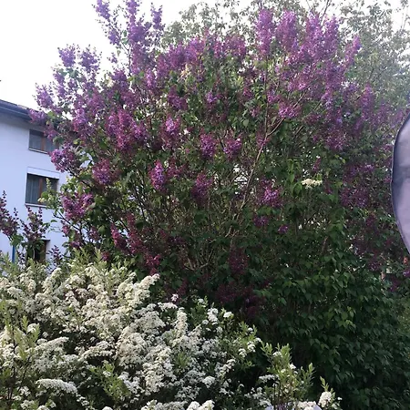 Im Chasa Stefania, Bergblicktraum Mit Garten Und Sauna Appartamento *