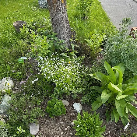 Im Chasa Stefania, Bergblicktraum Mit Garten Und Sauna Appartamento