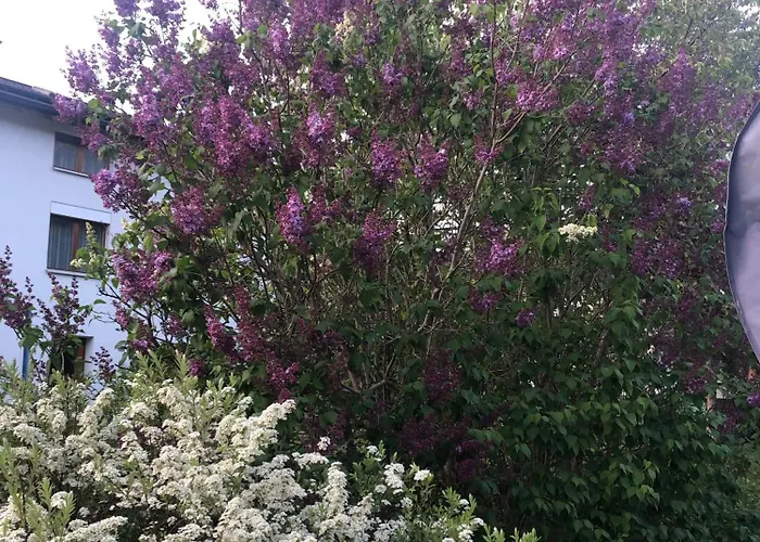 Im Chasa Stefania, Bergblicktraum Mit Garten Und Sauna Apartment *